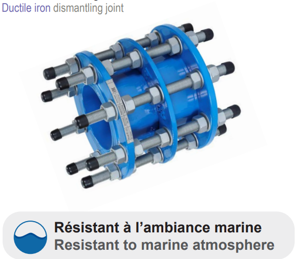 Ductile iron dismantling joint