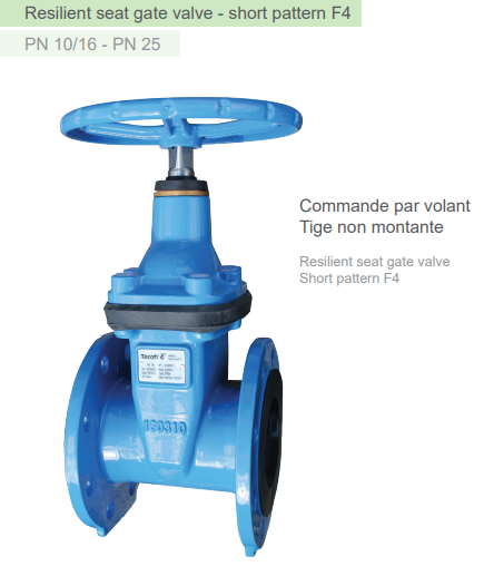Resilient seat gate valve - short pattern F4