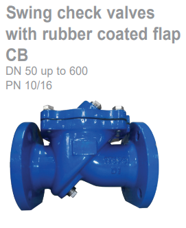 Swing check valves
